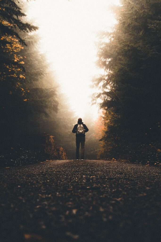 man person standing between tall trees